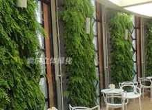 影響室內植物墻的環境因素有哪些？