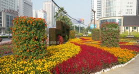 南寧中盟商務與投資峰會廣場景觀提升