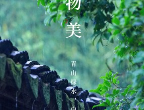 錦上添花 | 植物設(shè)計(jì)中的“小心思”