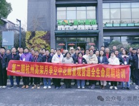 構筑學習平臺，傳授杭州網紅高架月季經驗