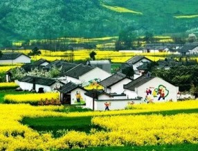 四部門印發(fā)《“十四五”鄉(xiāng)村綠化美化行動(dòng)方案》，哪些亮點(diǎn)值得關(guān)注？