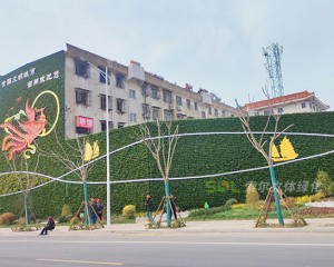 宿州老舊小區(qū)景觀(guān)提升立體綠化項(xiàng)目