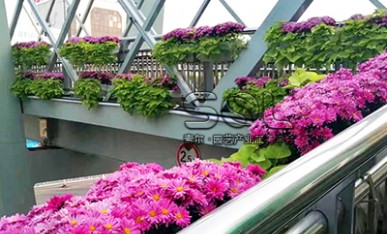 道路景觀(guān)提升