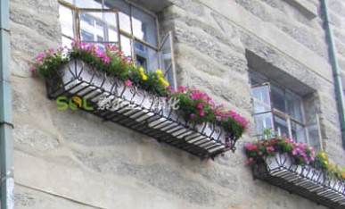 廬山植物園窗臺綠化