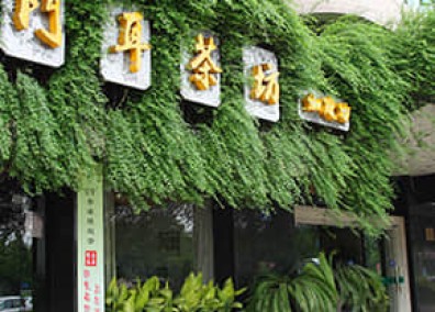 門(mén)店立體綠化解決方案