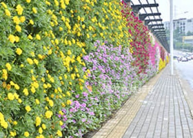 道路景觀(guān)提升解決方案