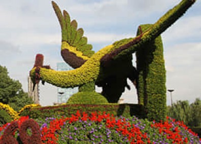 廣場(chǎng)景觀(guān)提升解決方案