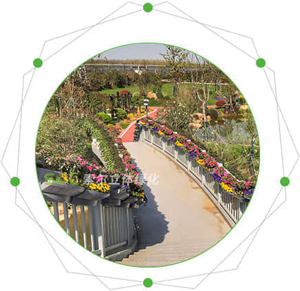 人行天橋綠化的特點(diǎn)