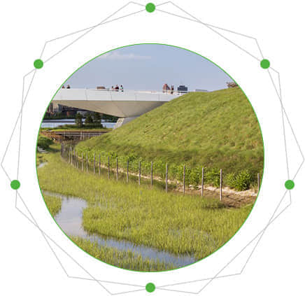 河堤綠化的特點(diǎn)