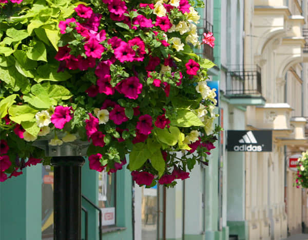 燈桿綠化解決方案簡介1