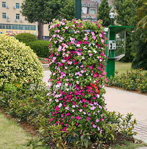 落地包燈桿綠化-圓柱形