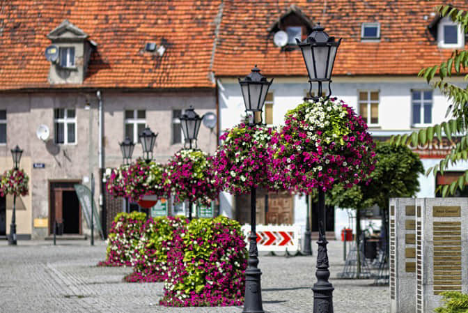 廣場公園景點景觀提升3