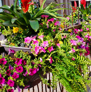 護欄綠化-雙面掛