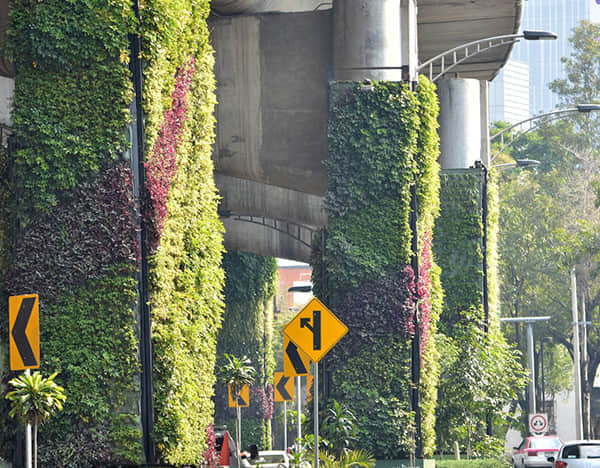 橋墩綠化解決方案簡(jiǎn)介1