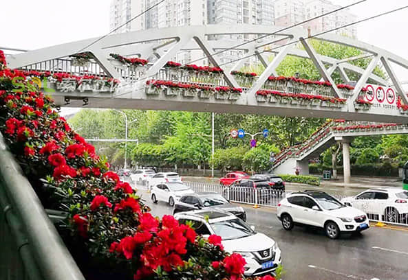 人行天橋景觀提升