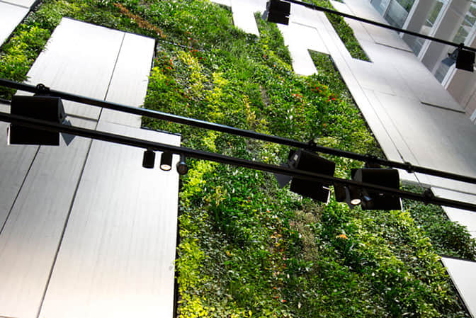 商業(yè)綜合體景觀提升室內(nèi)植物墻