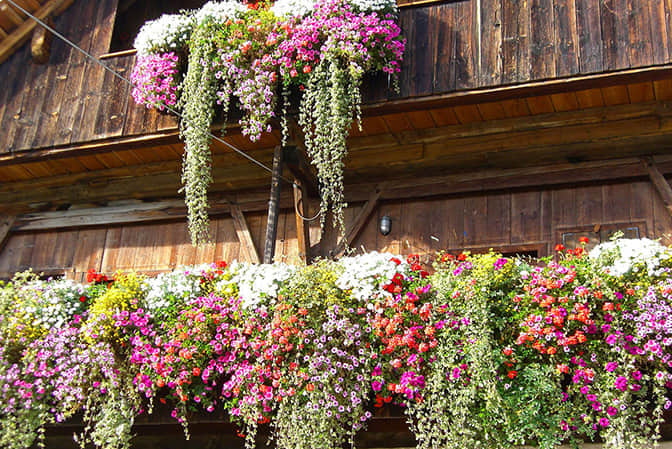 旅游小鎮景觀提升民宿客棧陽臺花園