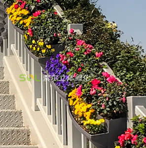 人行天橋綠化-雙面掛