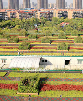 屋頂綠化解決方案