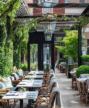 餐廳立體綠化解決方案