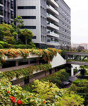 醫院立體綠化解決方案