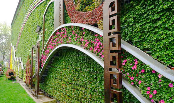 植物墻解決方案