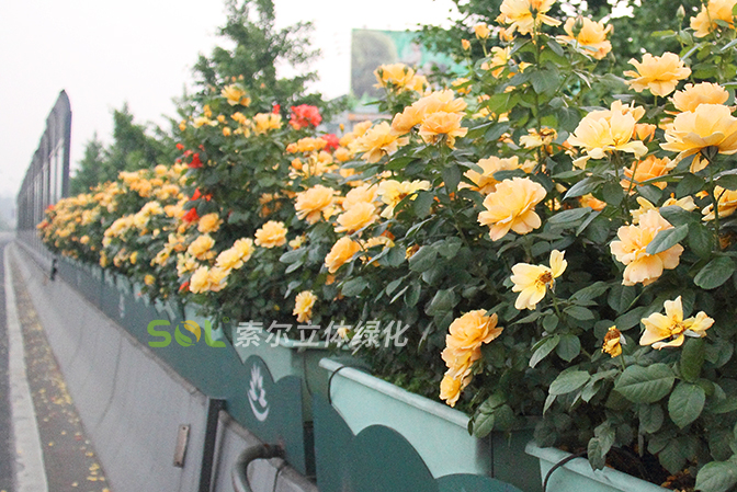 高架橋景觀提升