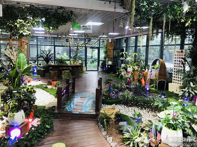 2020首屆“浙江商會園林周”-立體綠化論壇培訓10.25 (96).jpg