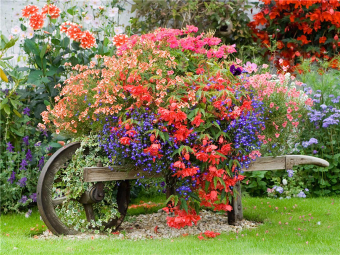 32庭院小景小車 (4).jpg