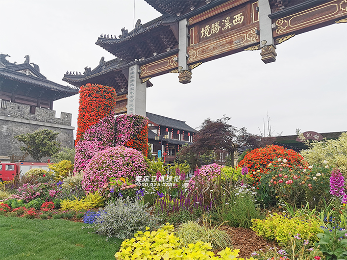 17移動花園-2020年4月28日江蘇東臺西溪古鎮(zhèn)五一景觀提升 (1)泰山路花境.jpg