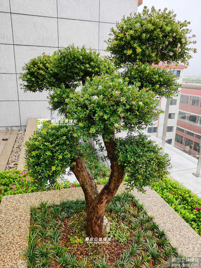 07 2019年7月浙江金華巨宏工貿辦公大樓屋頂花園項目.jpg