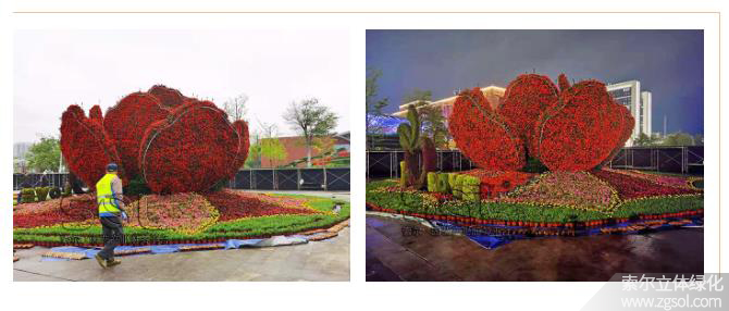 28山東青島膠州市民文化中心五一立體花壇“幸?；ㄩ_” (45).jpg