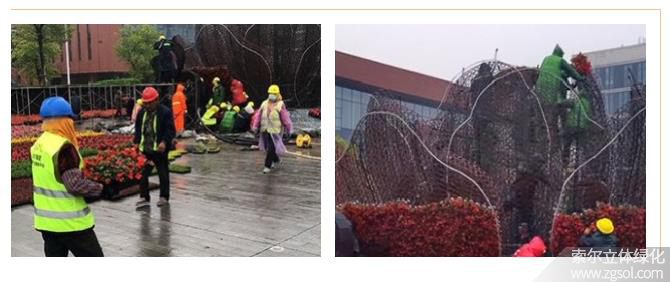 24山東青島膠州市民文化中心五一立體花壇“幸?；ㄩ_” (45).jpg