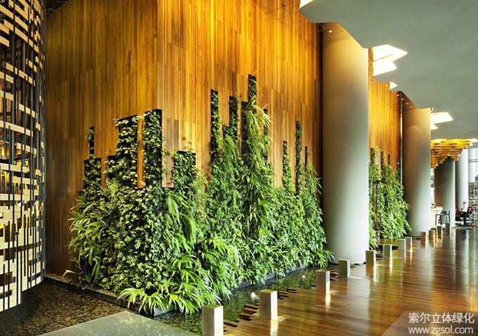 16室內(nèi)植物墻.jpg
