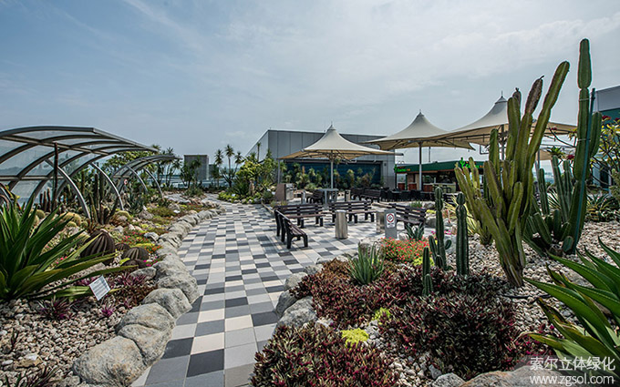 32新加坡樟宜機場屋頂花園仙人掌花園02.jpg
