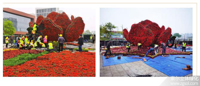 27山東青島膠州市民文化中心五一立體花壇“幸?；ㄩ_” (14).jpg