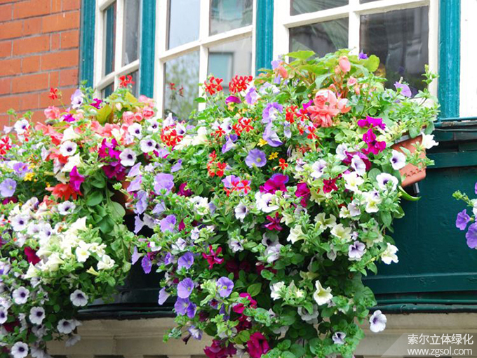 39國外窗臺(tái)美化素材 (2).jpg