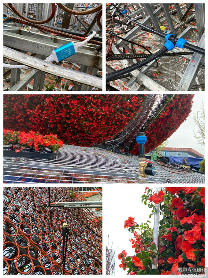 30山東青島膠州市民文化中心五一立體花壇“幸福花開”  (13).jpg