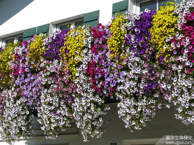 41陽臺(tái)美化 (96).jpg