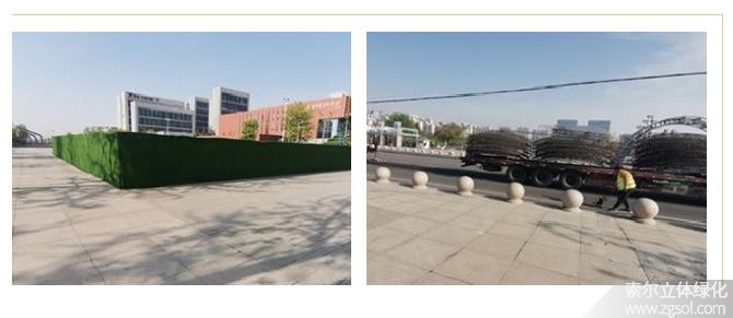 22山東青島膠州市民文化中心五一立體花壇“幸?；ㄩ_” (45).jpg