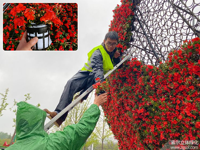 25山東青島膠州市民文化中心五一立體花壇“幸?；ㄩ_”  (24).jpg