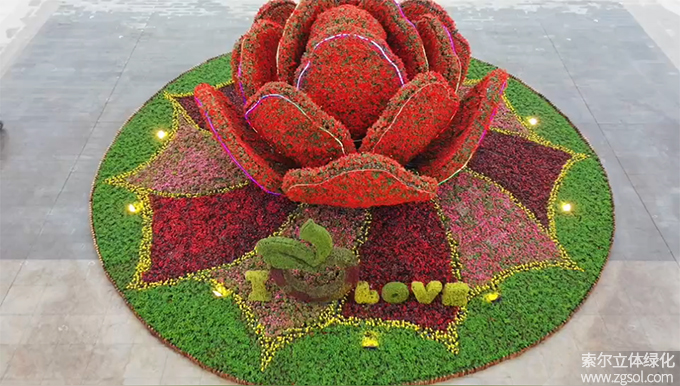 01膠州市民文化中心五一立體花壇“幸?；ㄩ_” (1).jpg