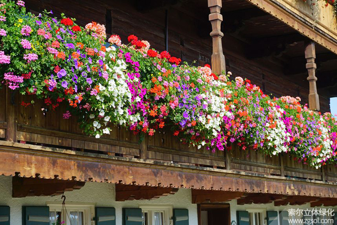 42陽臺(tái)美化 (86).jpg