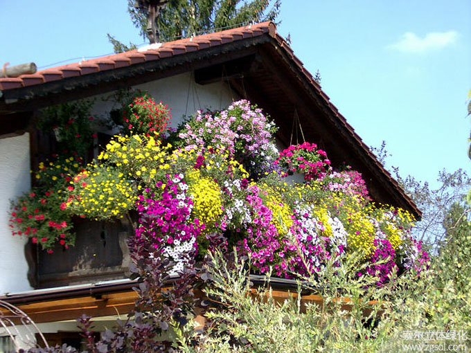 14陽臺美化 (111).jpg